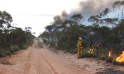 Scrub fire, Bookmark complex fires